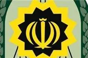 صدور اعلان قرمز برای ۱۳۵ ایرانی در سال گذشته