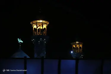 12305220_899