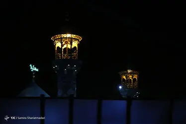 12305220_899