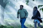 جواهری به نام کودک در آغوش درخت