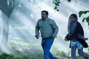 جواهری به نام کودک در آغوش درخت
