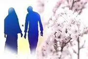 چند راهکار موثر و ساده برای حل مشکلات خانوادگی