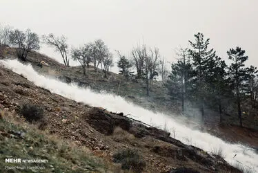 3423169_IMG_3142