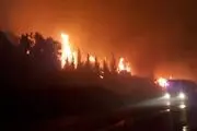 آتش سوزی در اراضی جنگلی ترکیه