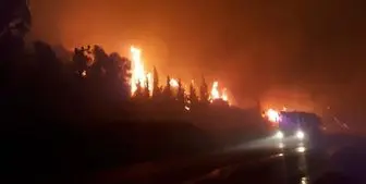 آتش سوزی در اراضی جنگلی ترکیه