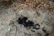 کشف مقادیری سلاح و مهمات از عوامل حادثه تروریستی نیکشهر
