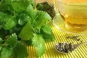 گیاهی برای رفع تبخال
