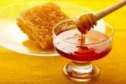 واردات ۲۸ هزار تن موم زنبور عسل به کشور