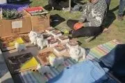 پرسه در قبرستان برای لقمه‌ای نان