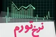 تورم زمین ۲ برابر مسکن شد