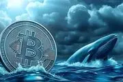 بحران بزرگ بیت‌کوین نزدیک است؟ نهنگ‌ها به جنون رسیدند
