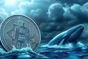 بحران بزرگ بیت‌کوین نزدیک است؟ نهنگ‌ها به جنون رسیدند
