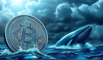 بحران بزرگ بیتکوین نزدیک است؟ نهنگها به جنون رسیدند