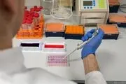 صادرات کیت استخراج  تولید شده توسط شرکت‌های دانش بنیان