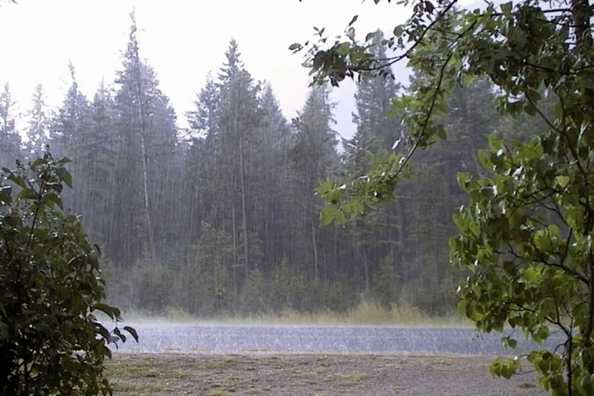 شدیدترین بارندگی قرن در ایران؟ / فیلم