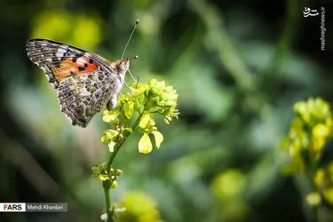 AJDdUi52bA6x