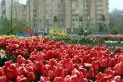 خودنمایی زمستان در دومین ماه از بهار/ گزارش تصویری