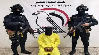 بازداشت عنصر داعشی در منطقه زعفرانیه