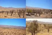 پس از رفع تحریم‌ها چه باید کرد؟
