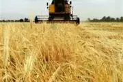 توزیع بیش از ۵ هزار تن کود بهاره در شهرستان هشترود