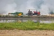 خودکفایی ۵ محصول راهبردی در دستور کار قرار گرفت
