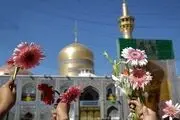 گلباران حرم نورانی امام رضا(ع) همزمان با شب میلاد