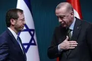 اعتراضات به سکوت اردوغان در برابر اسرائیل