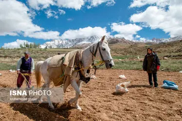 62601236_Mohammad-Ghajar-8