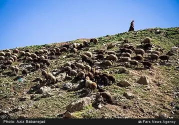 کوچ عشایر