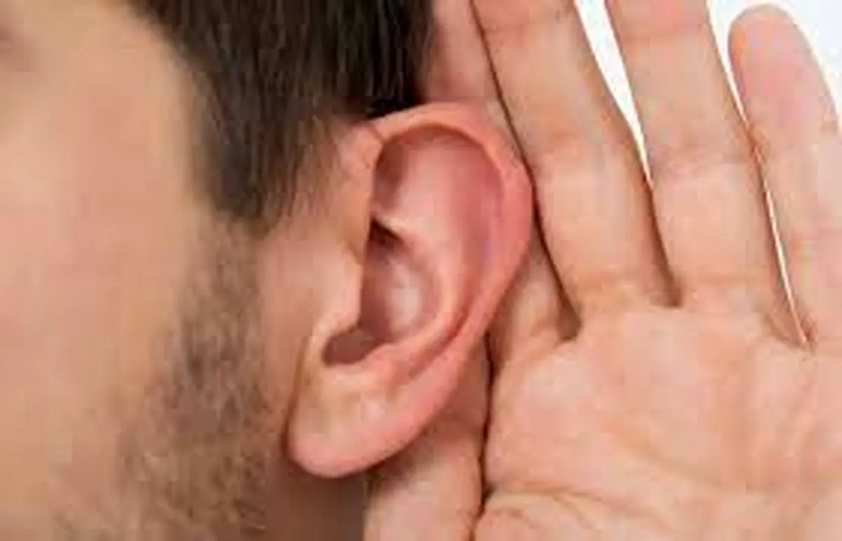 گوش‌ها چه اسراری را پنهان می‌کنند؟!