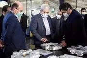 بازدید  معاون علمی و فناوری رئیس جمهور از چند شرکت دانش‌بنیان