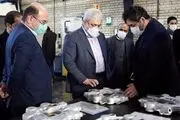 بازدید  معاون علمی و فناوری رئیس جمهور از چند شرکت دانش‌بنیان