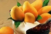 آلودگی‌های نفتی را با پوست این میوه از بین ببرید