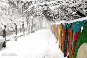 o5saWDd6yHjR