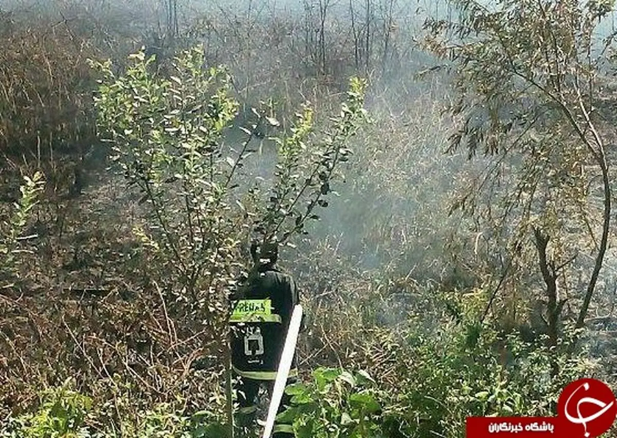 
گرمی هوا علفزار را به آتش کشید+تصاویر
