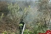 
گرمی هوا علفزار را به آتش کشید+تصاویر
