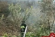 
گرمی هوا علفزار را به آتش کشید+تصاویر
