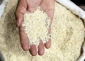 واردات برنج از آمریکا