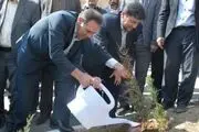 آغاز بزرگترین پروژه فضای سبز روستایی کشور 