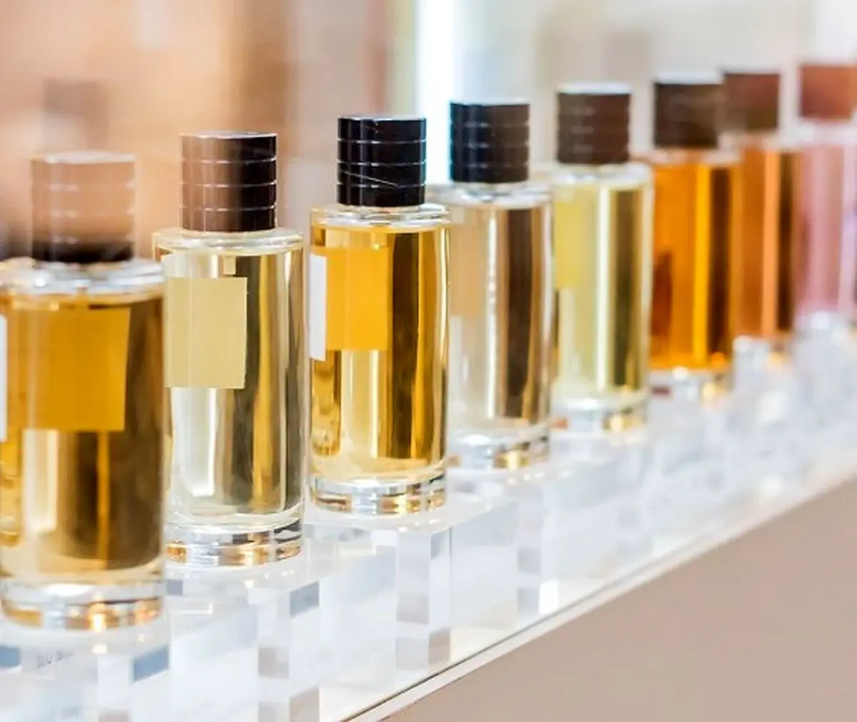 تفاوتهای عطر، ادکلن، ادوپرفیوم و ادوتویلت که احتمالا از آن بیخبرید!