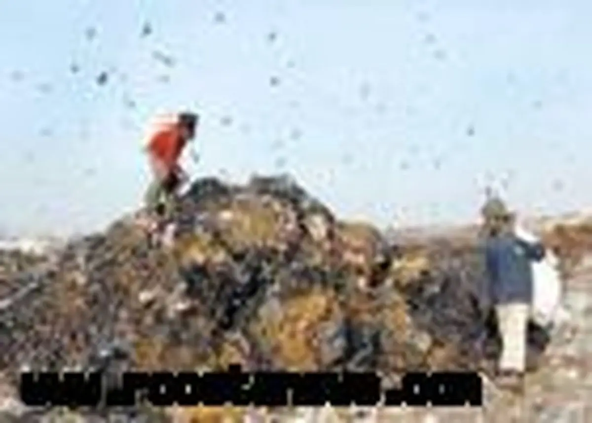 نجات یک روستا از مرگ تدریجی در گرو تحقق وعده های شهرداری قروه