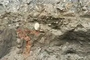 کشف یک دیواره تاریخی در همدان
