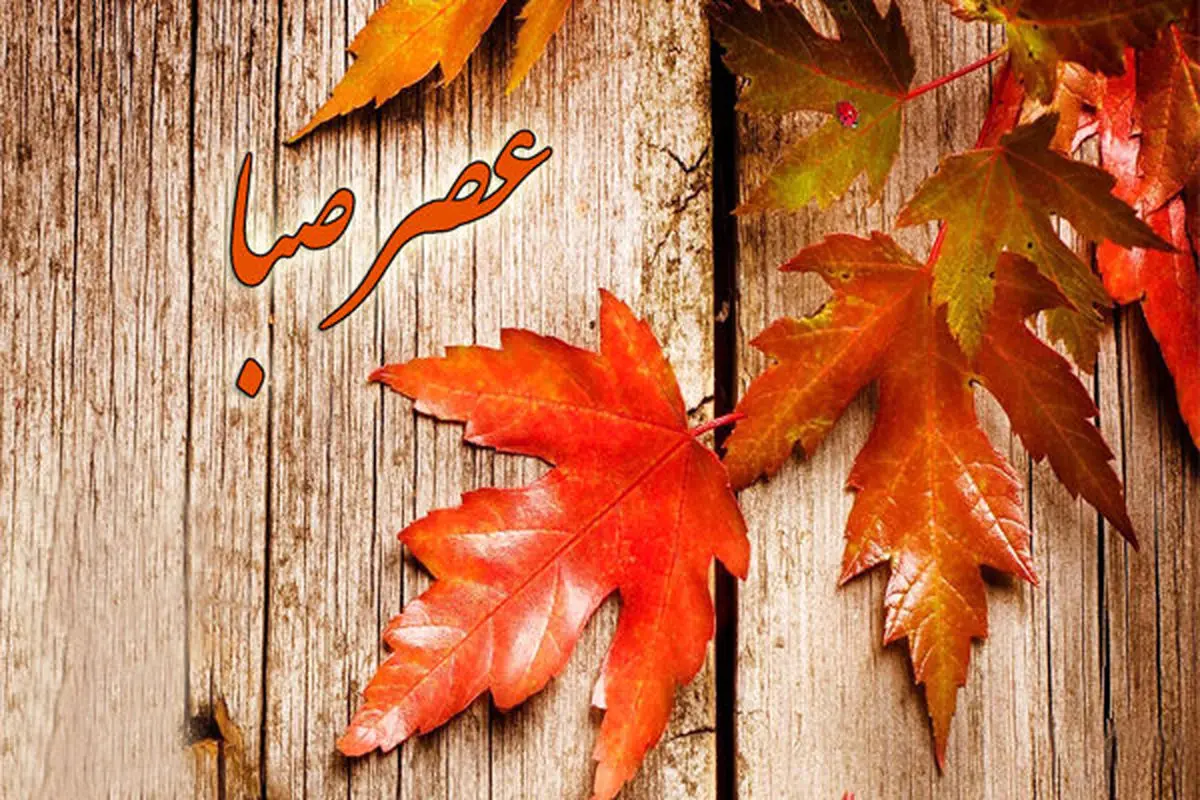 نگاهی طنز آلود به «مشاغل کاذب» در رادیو صبا