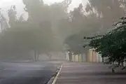 هشدار زرد هواشناسی به پایتخت‌نشینان برای روز طبیعت