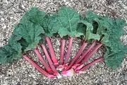 گیاهی که کبدتان را سرحال می‌کند/صبحانه‌ای برای داشتن کودکی باهوش