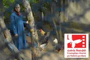 اکران «قطار آن شب» در جشنواره المپیای یونان
