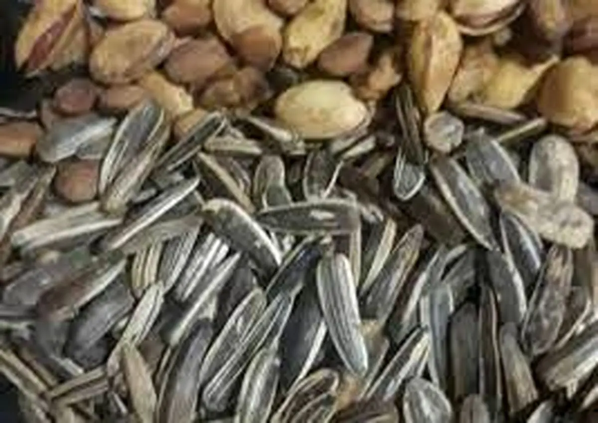 گرانی ۴۰۰ درصدی تخمه و ۱۸۳ درصدی پسته+ اینفوگرافیک
