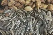 گرانی ۴۰۰ درصدی تخمه و ۱۸۳ درصدی پسته+ اینفوگرافیک