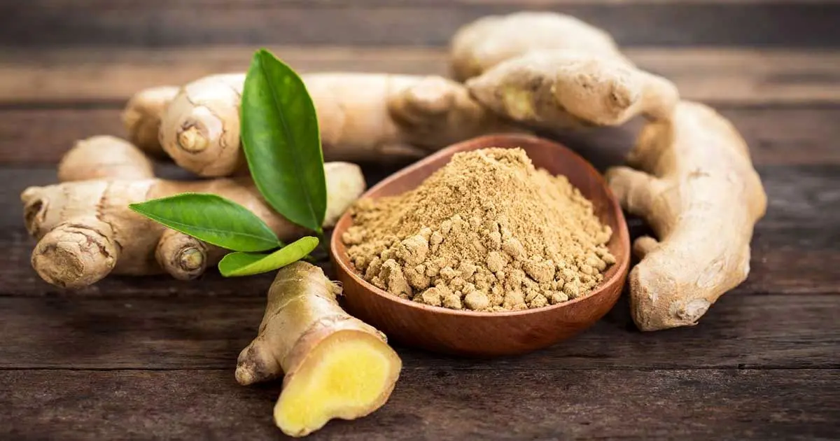 فواید شگفت انگیز زنجبیل در درمان میگرن