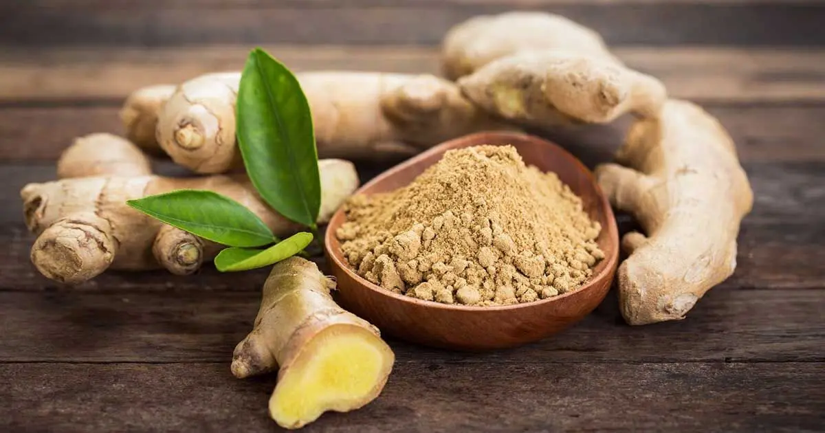 فواید شگفت انگیز زنجبیل در درمان میگرن